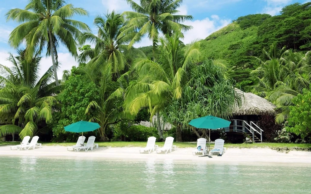Summer Desktop Wallpapers 22410
