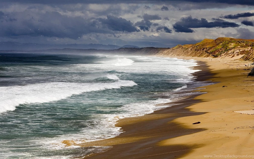 Summer Desktop Wallpapers 21704