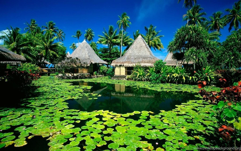 Nature Summer Desktop Wallpaperwallpaperil.com