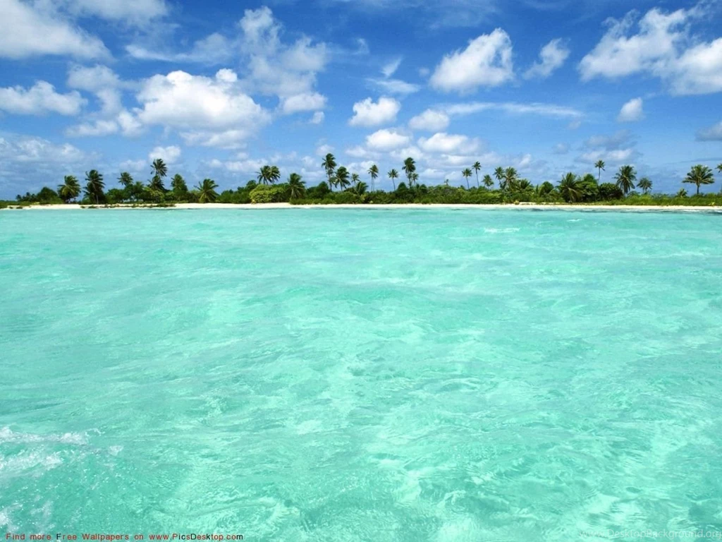Nature Summer Desktop Wallpapers Pics.