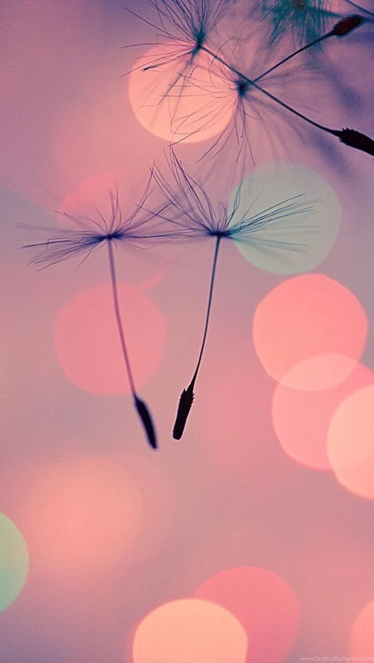 iPhone 5 Wallpapers