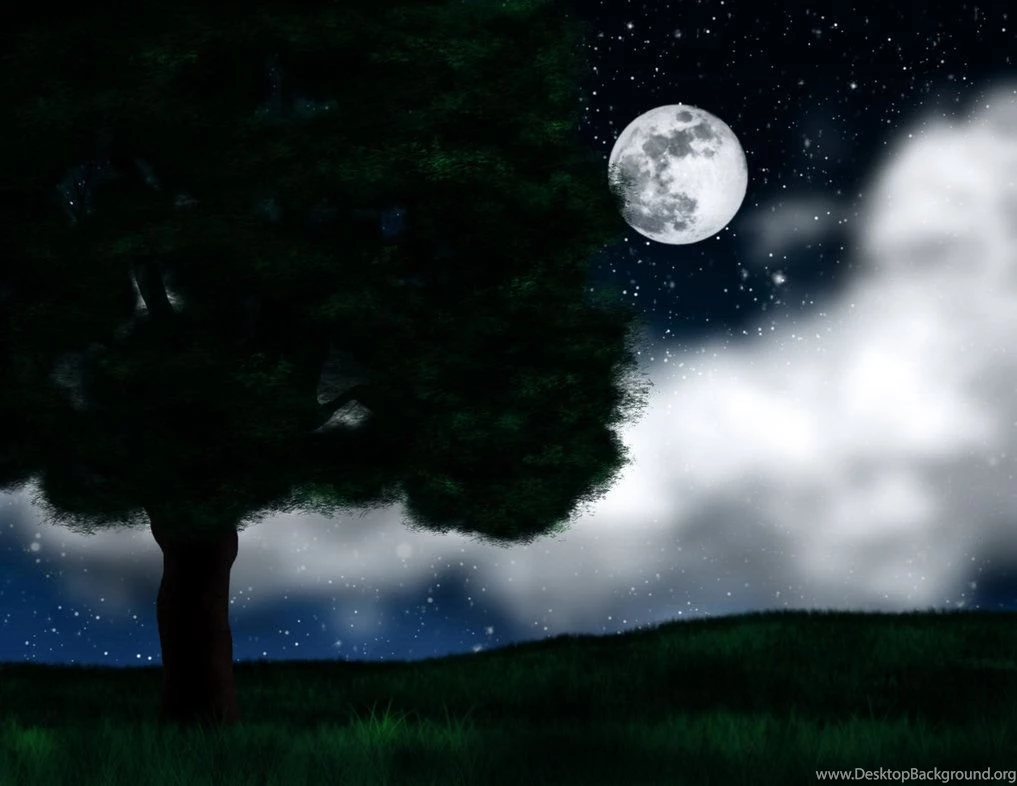 Night Backgrounds By ZpanSven On DeviantArt
