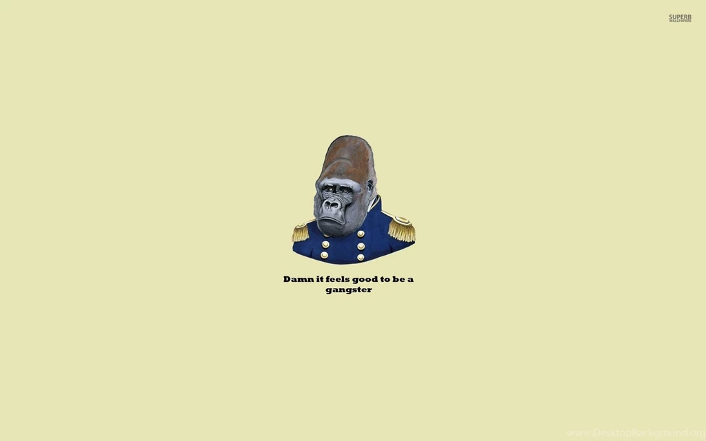 Feels Good To Be A Gangster Wallpapers   Funny Wallpapers