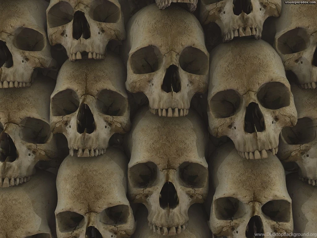 Skulls Wallpapers 102013