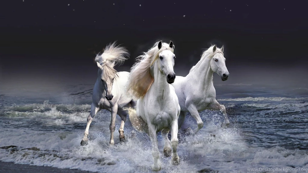 Horse Background1.jpg