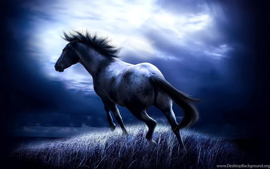 Horse Pics For Backgrounds