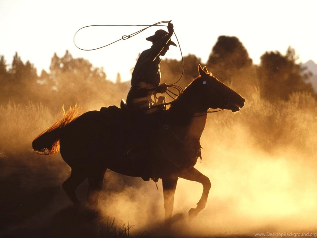 1023 Horse HD Wallpapers