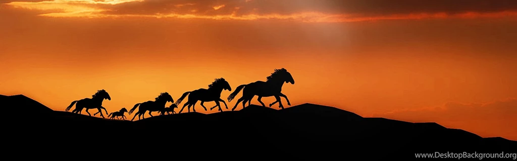 Download Wallpapers 3840x1200 Horse, Herd, Sunset, Silhouettes ...