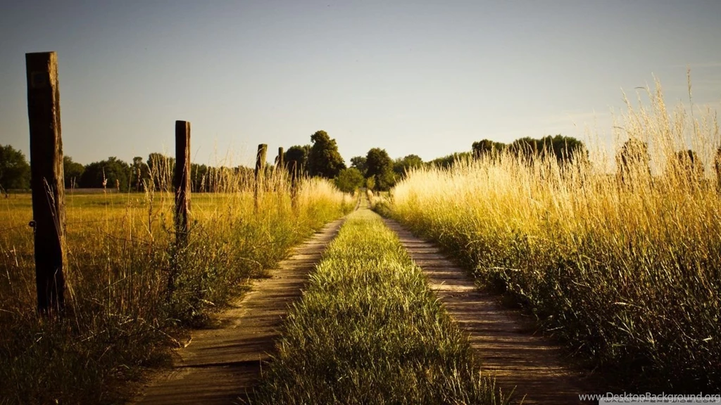 Country Road, Late Summer HD Desktop Wallpapers : High Definition ...