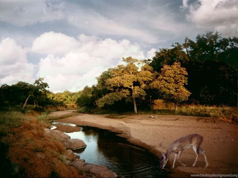 Free Wallpapers From Texas