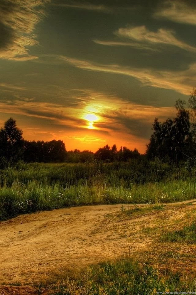 Download Wallpapers 640x960 Decline, Road, Country, Signature ...