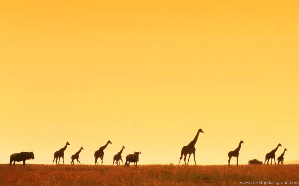 Africa Wallpapers