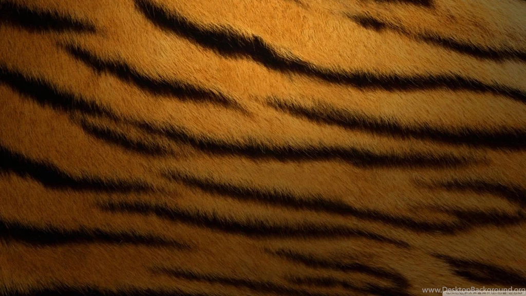 Tiger Fur Backgrounds HD Desktop Wallpapers : High Definition ...