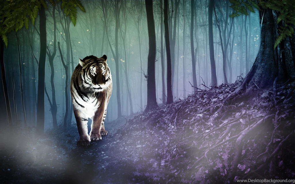 1060 Tiger HD Wallpapers