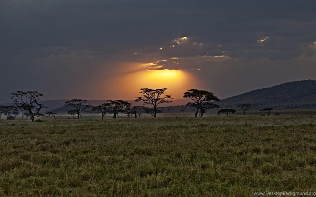 Sunset Kenya Africa Wallpapers