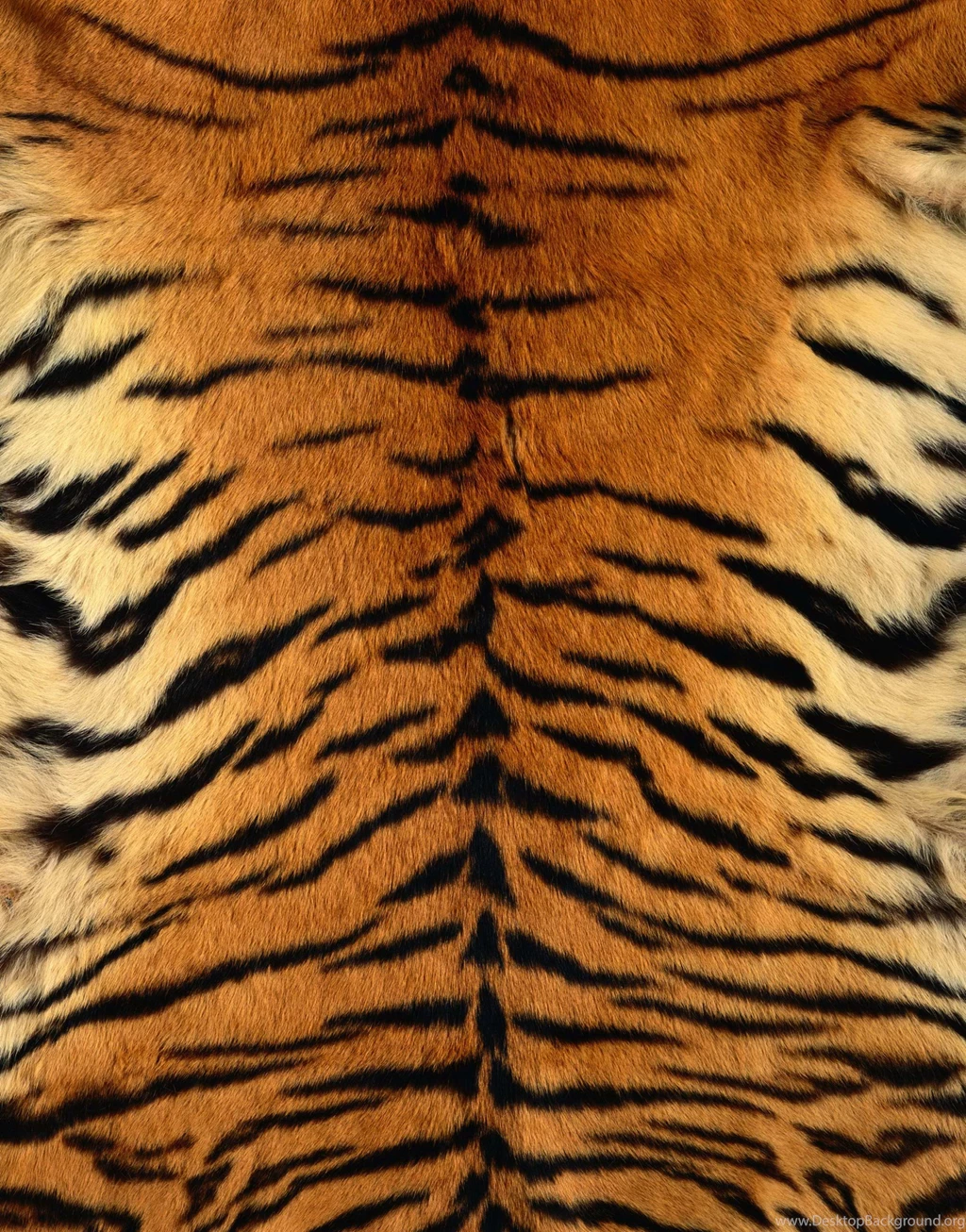 Fur_texture1705.jpg