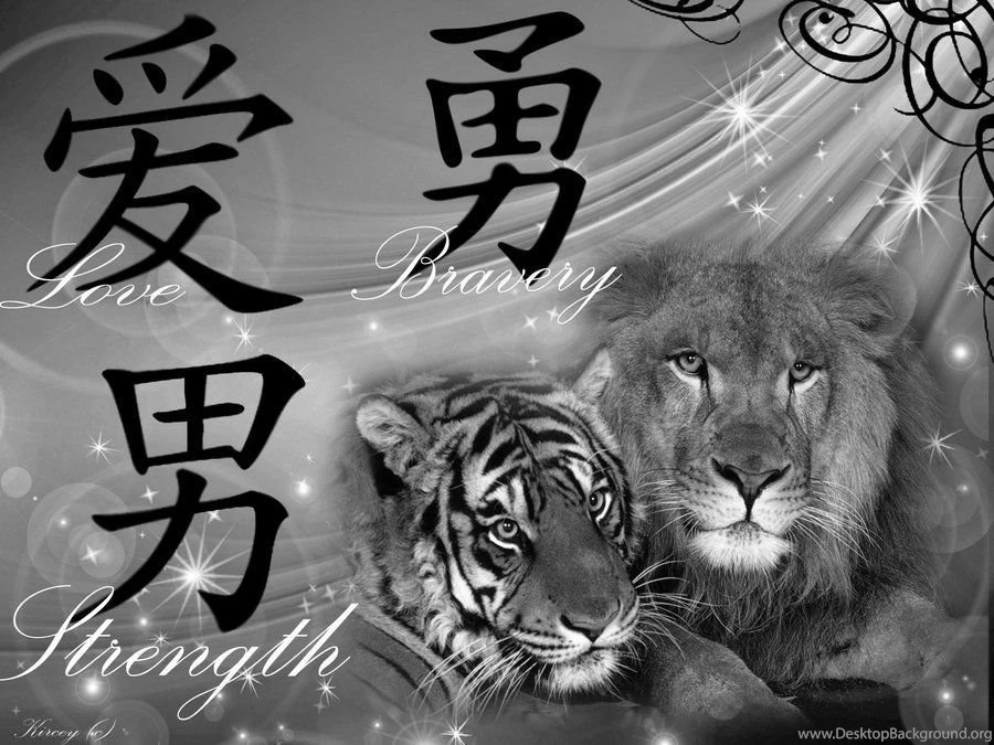 Lion And Tiger Backgrounds By XxSugarSweet247xX On DeviantArt