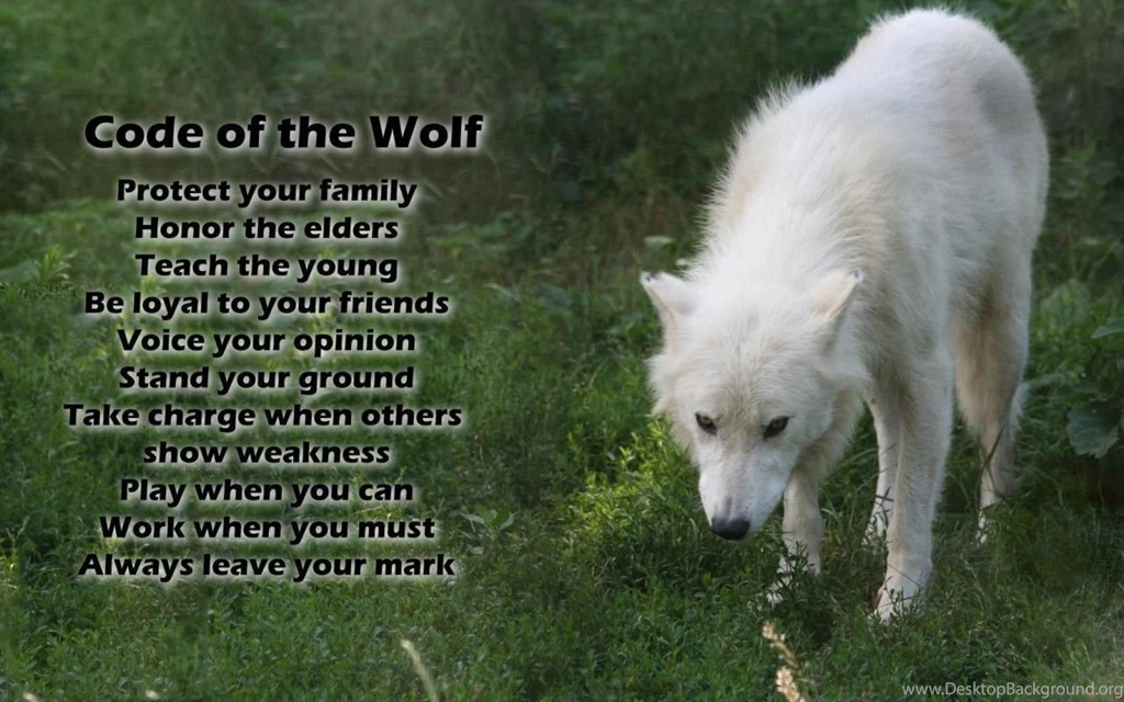 Www Wallpapers Download Com   Desktop Backgrounds