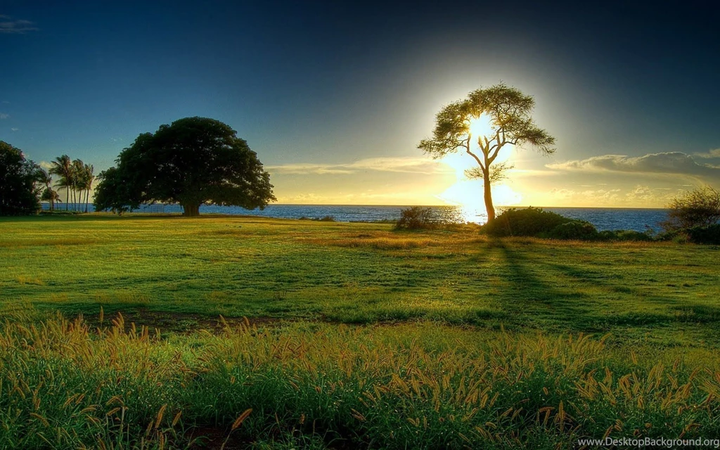 HD Nature Photography Desktop Wallpapers Best HD Desktop ...