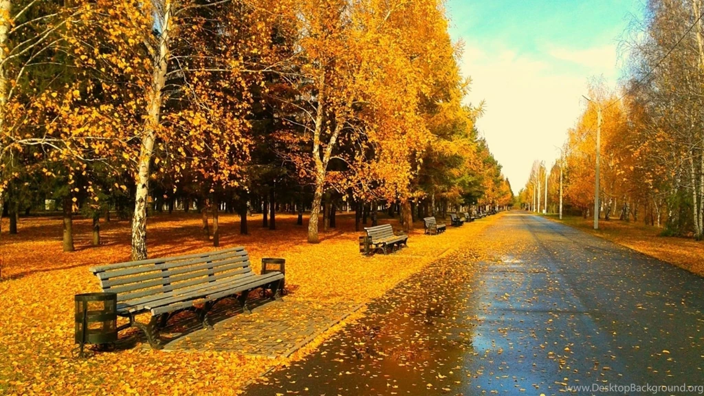 Autumn Wallpapers
