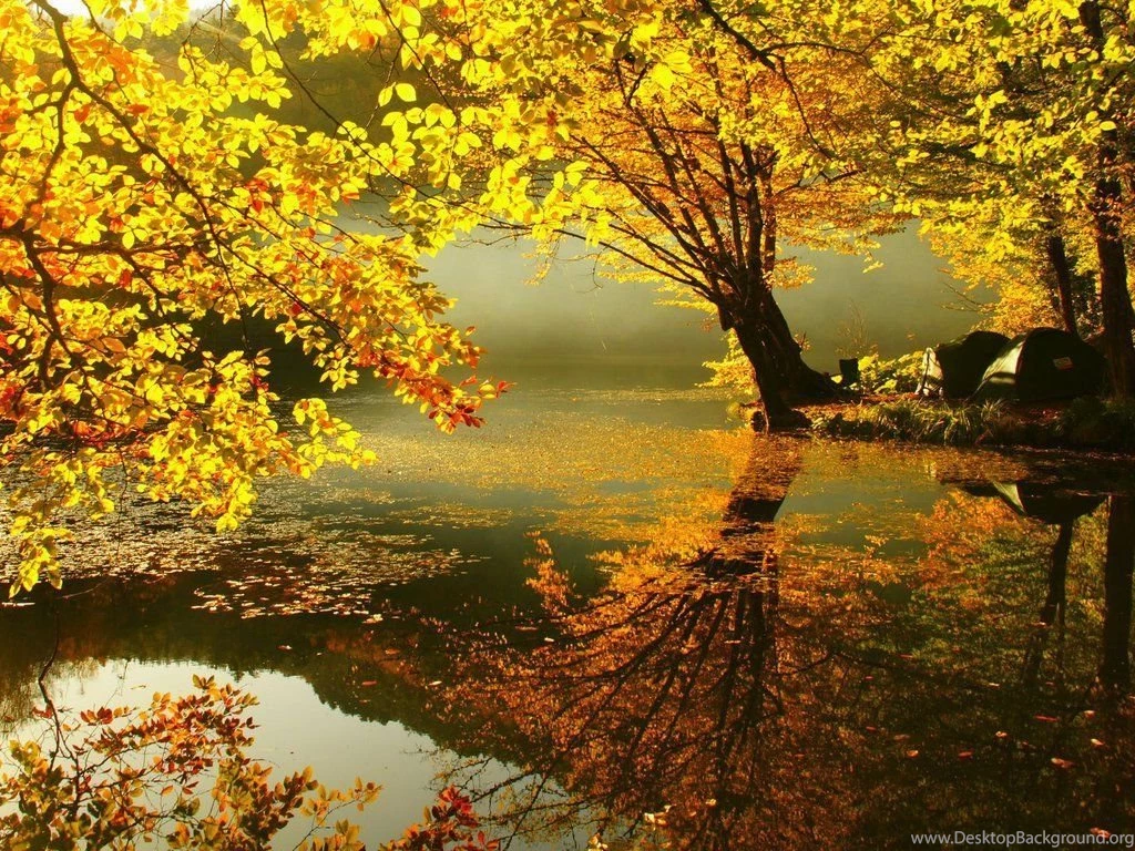 3D Autumn Wallpapers