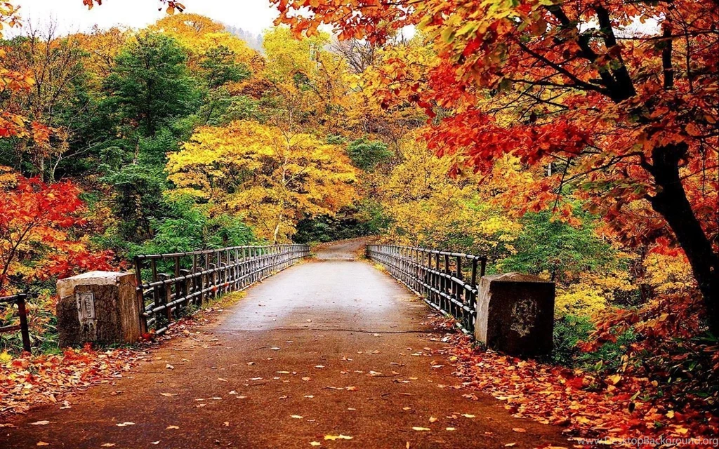 Magnificent Autumn Wallpapers