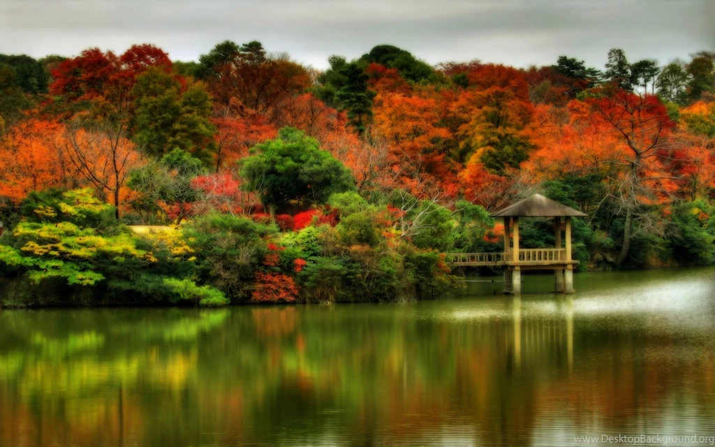 Autumn