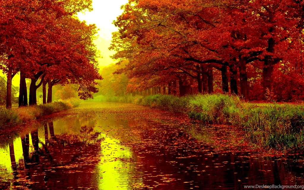 Autumn HD Wallpapers And Backgrounds