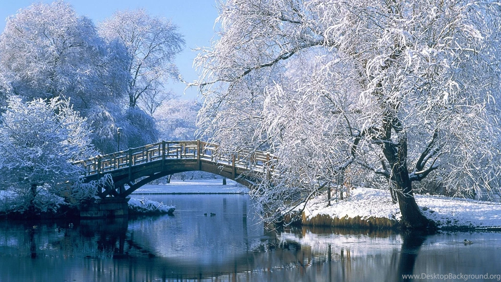 Winter Wallpapers
