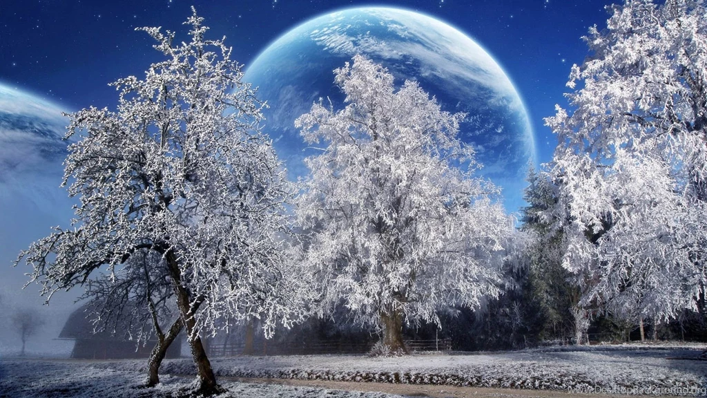 Microsoft_desktop_backgrounds_winter.jpg
