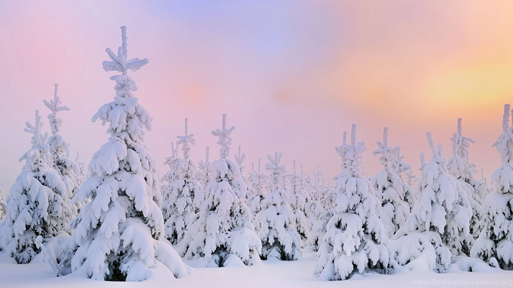 Winter Snow Desktop Wallpapers HD 49817 Dongxue Series ...
