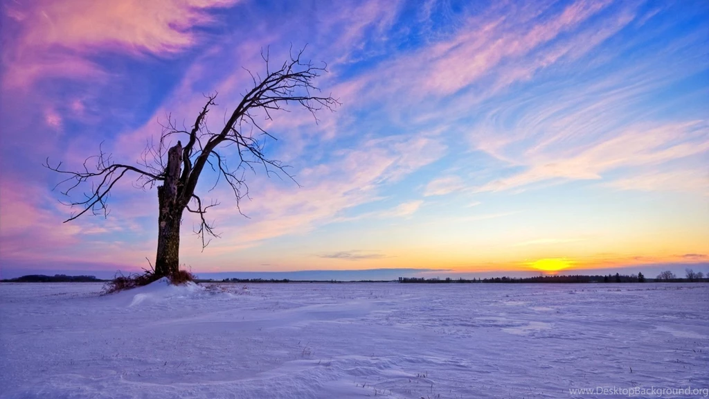 Winter Sunset HD Wallpapers