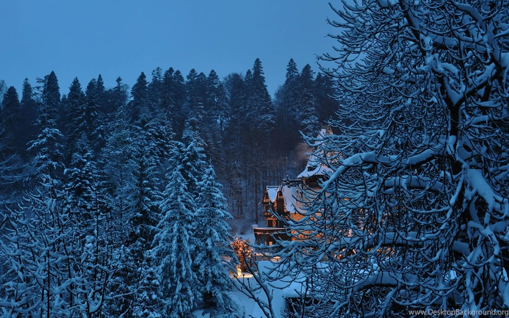 Peles Castle In The Winter Desktop Wallpapers 28374