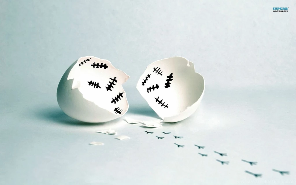 Escaped Chicken Wallpapers Funny Wallpapers