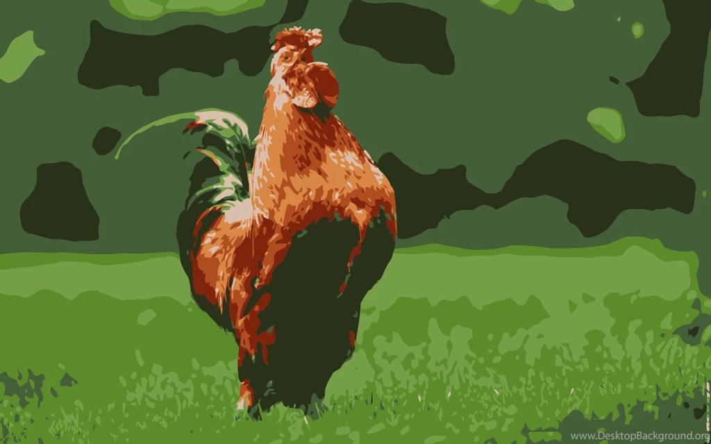 Chicken Free Hd Wallpapers Wallpaperss HD