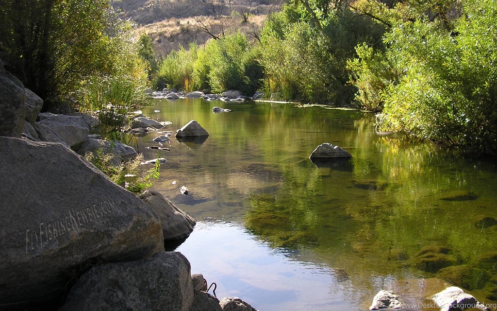 Fly Fishing Wallpapers