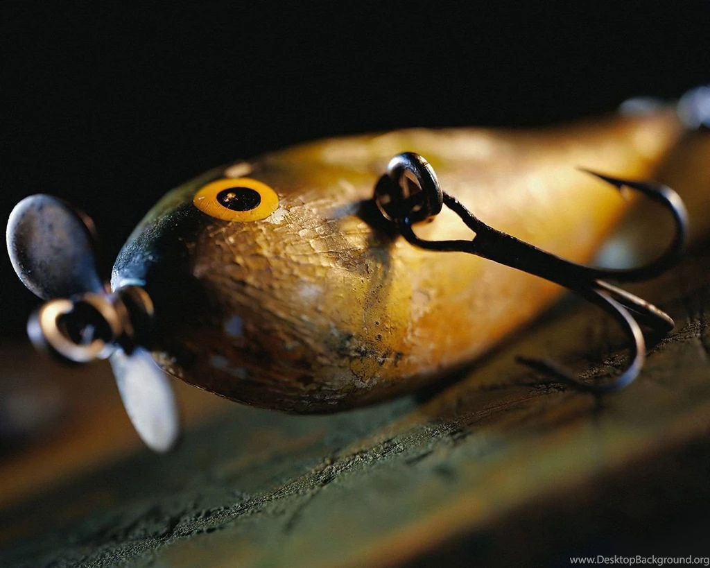Wallpaper: Hd Wallpapers Fish