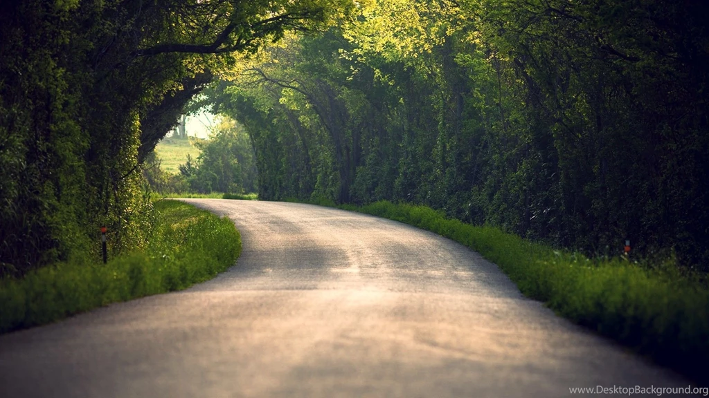 1920×1080 Wallpapers STAY050