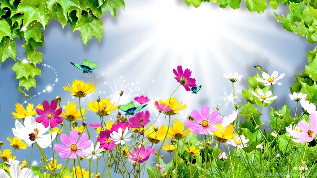 Top Bright Wallpapers For Desktop Images For Pinterest