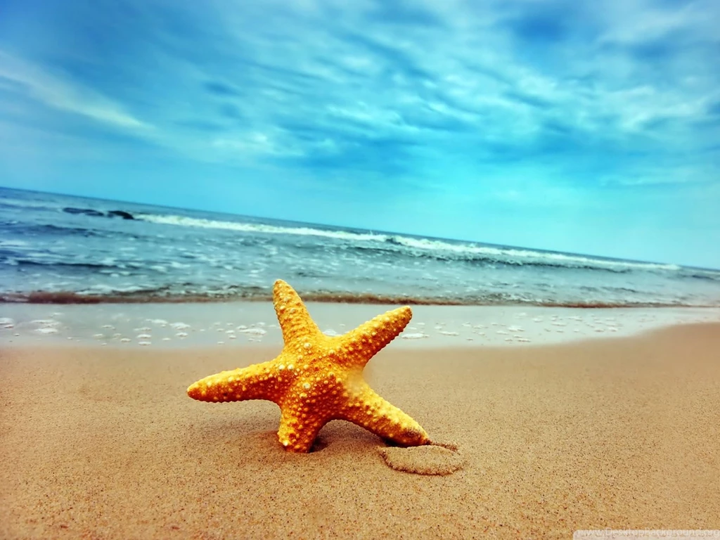 9 starfish sea beach sand wallpaper.jpg