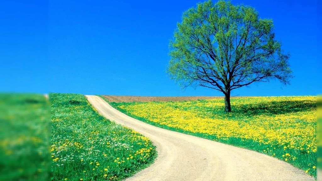Spring nature wallpaper desktop backgrounds