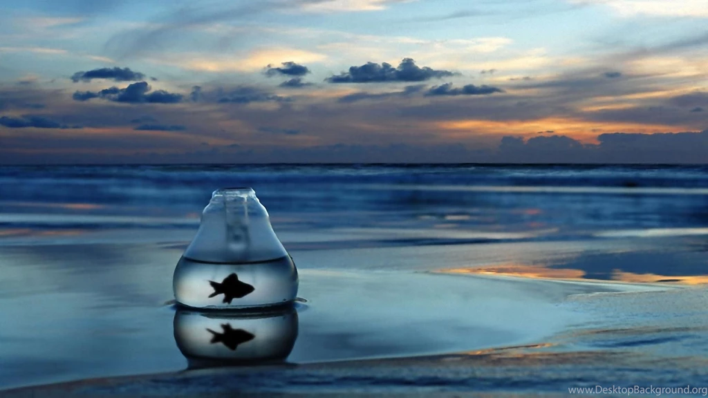 Special Sea Wallpapers