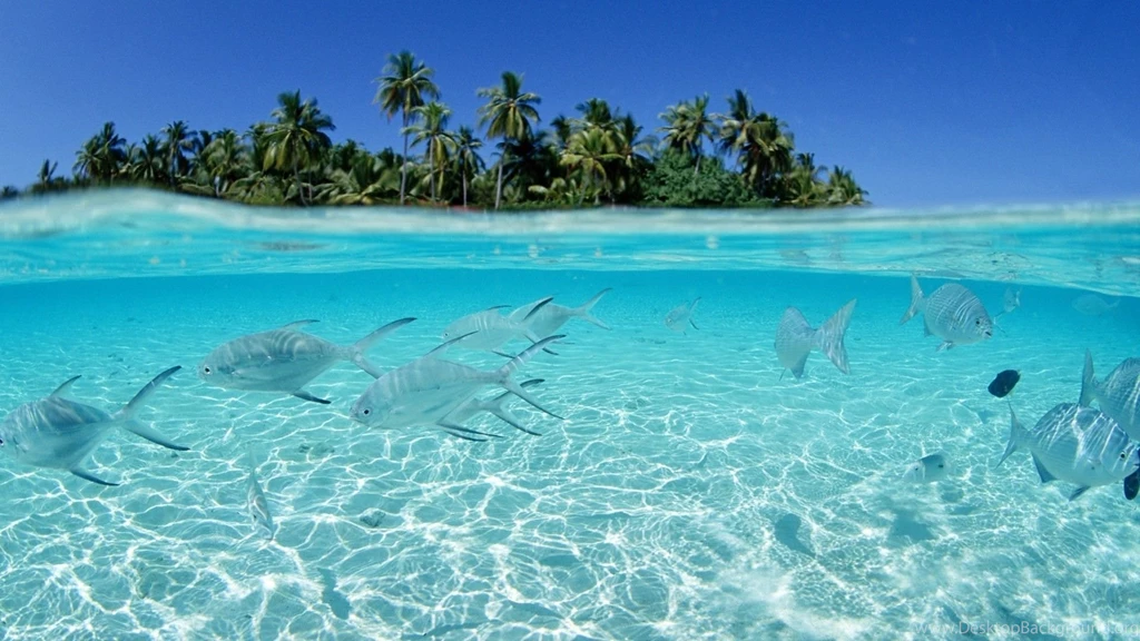 Bottom, Wallpapers, Desktop, Background, Images, Nature (