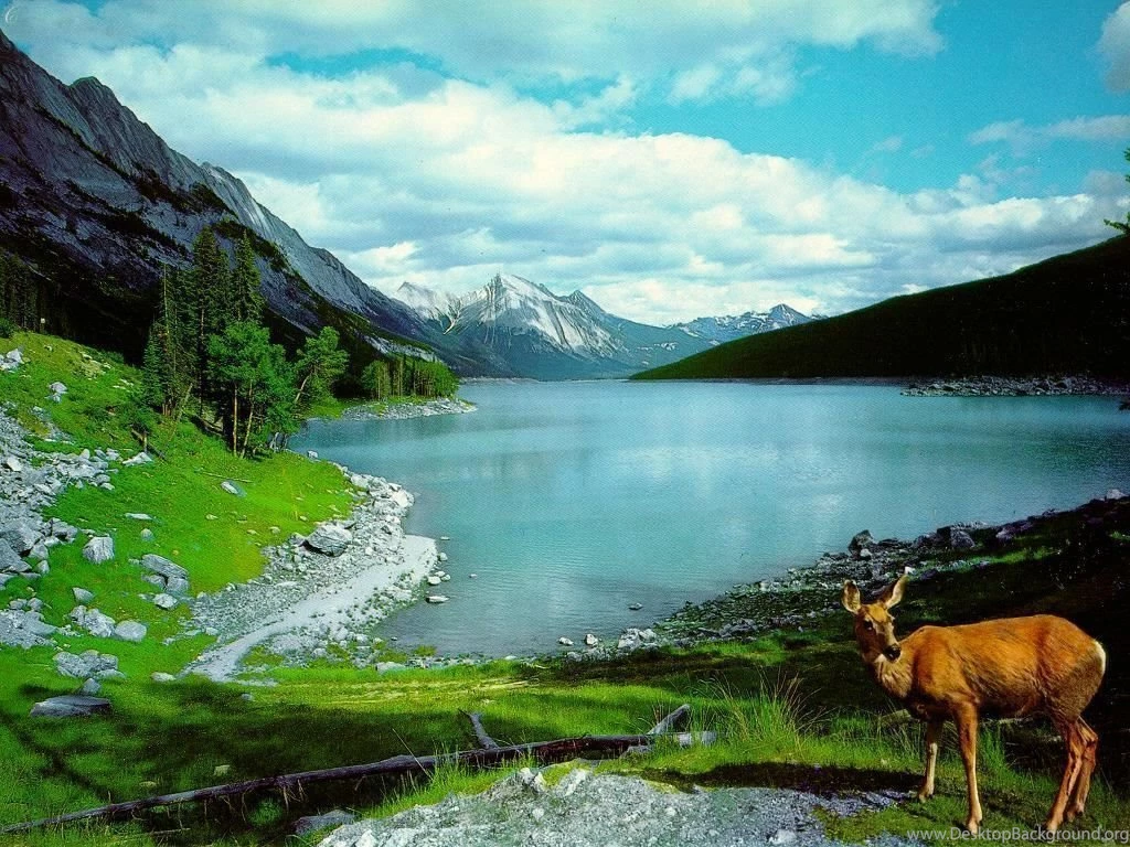 Top Nature Images For Pinterest