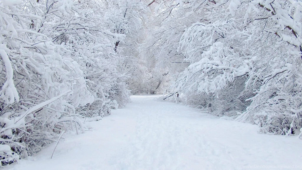 Winter Snow Desktop Wallpaper, Winter Snow Backgrounds, New Wallpapers