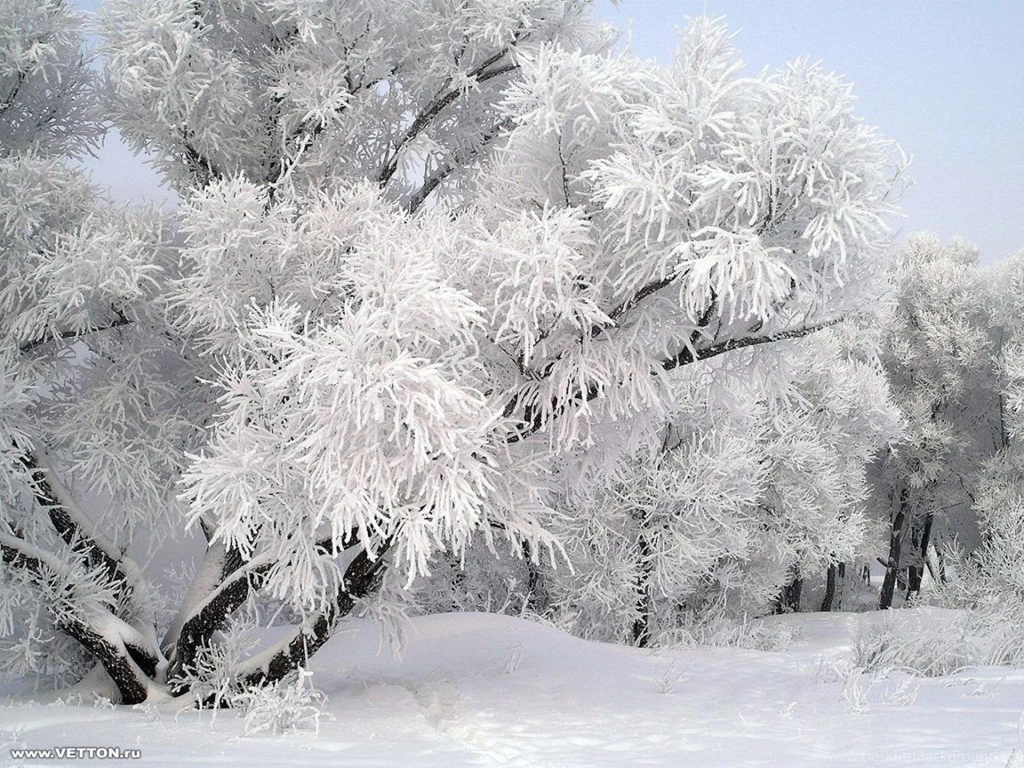Snow Desktop Backgrounds