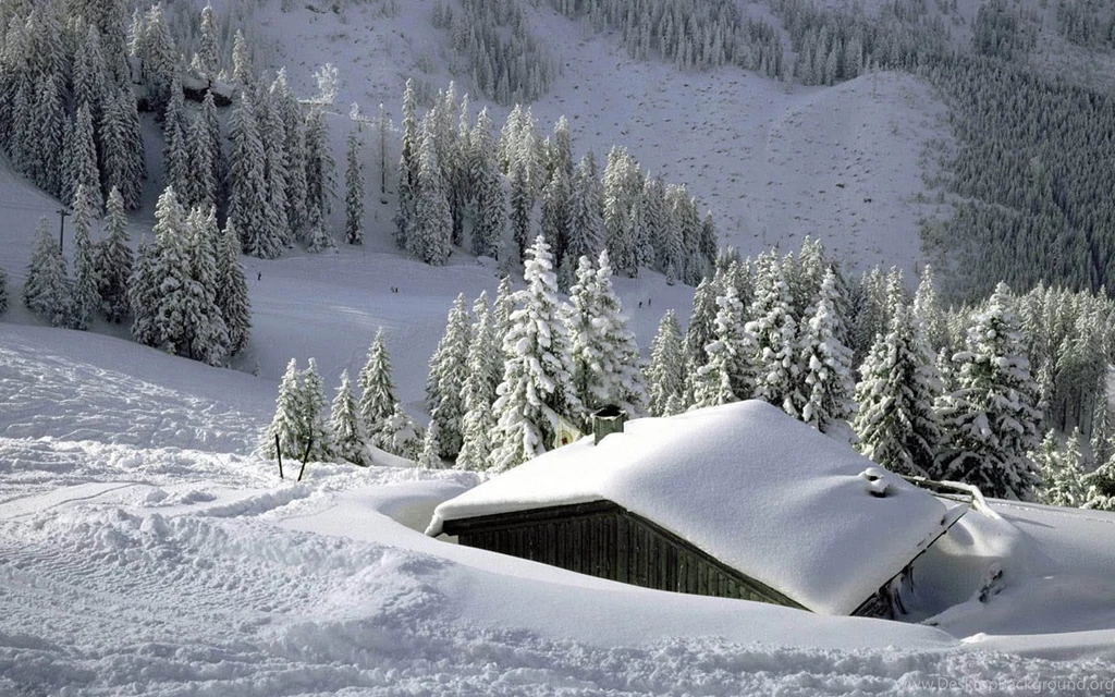 Explore Trends: Snow Desktop Wallpapers And Backgrounds
