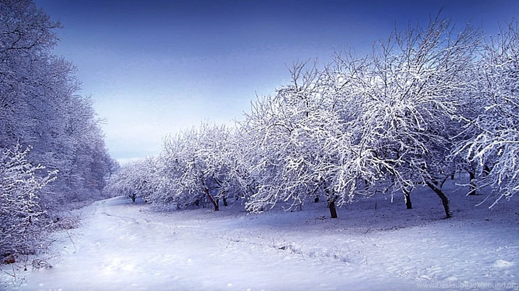 White Beauty Desktop Wallpapers , New Wallpapers, New Wallpapers