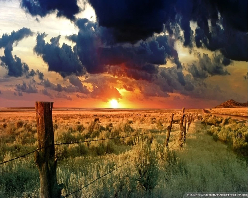 Nature Wallpapers Crazy Frankenstein