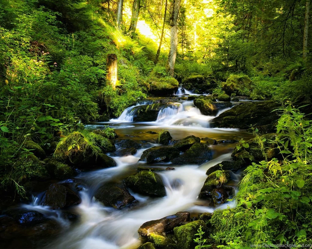 1280X1024 Wallpapers